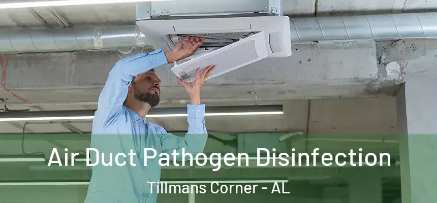  Air Duct Pathogen Disinfection Tillmans Corner - AL