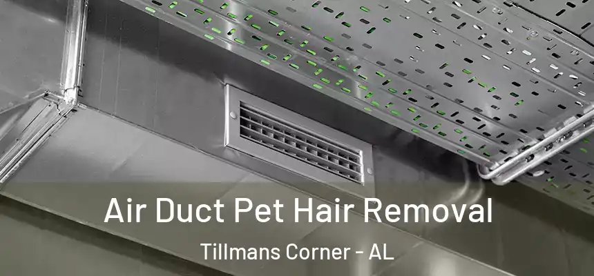  Air Duct Pet Hair Removal Tillmans Corner - AL