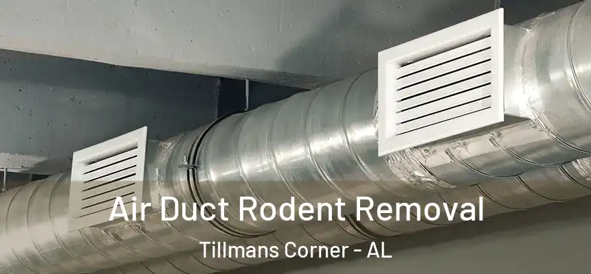  Air Duct Rodent Removal Tillmans Corner - AL