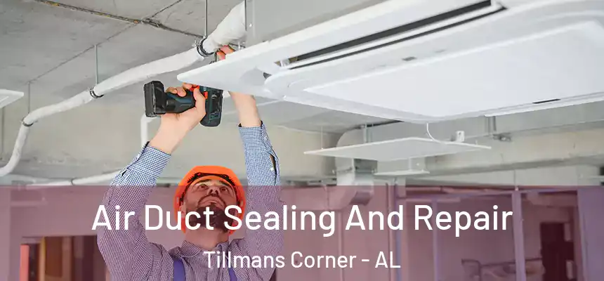  Air Duct Sealing And Repair Tillmans Corner - AL