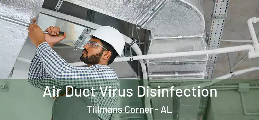  Air Duct Virus Disinfection Tillmans Corner - AL