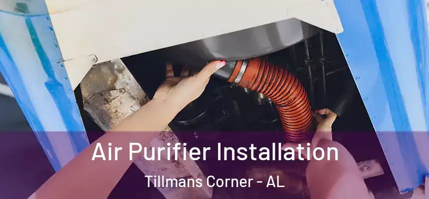  Air Purifier Installation Tillmans Corner - AL