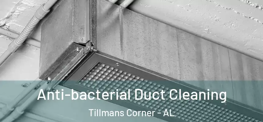  Anti-bacterial Duct Cleaning Tillmans Corner - AL