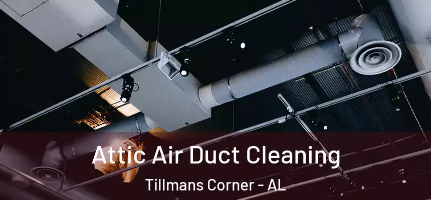  Attic Air Duct Cleaning Tillmans Corner - AL