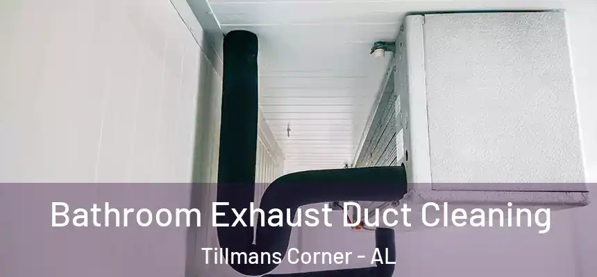  Bathroom Exhaust Duct Cleaning Tillmans Corner - AL