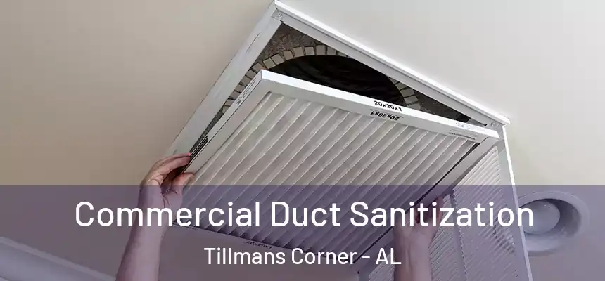  Commercial Duct Sanitization Tillmans Corner - AL