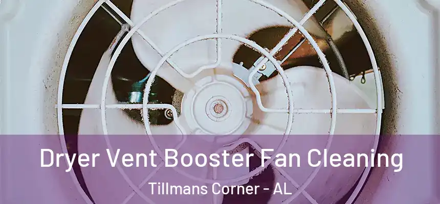  Dryer Vent Booster Fan Cleaning Tillmans Corner - AL