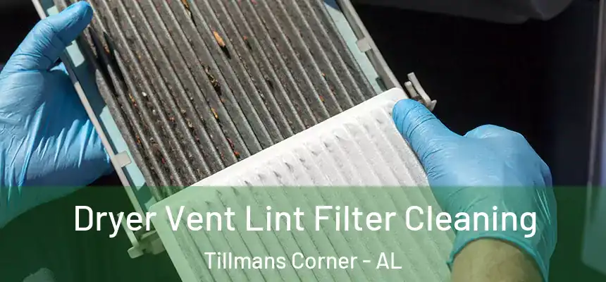  Dryer Vent Lint Filter Cleaning Tillmans Corner - AL