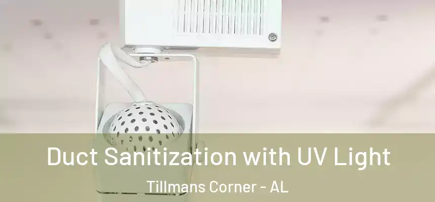  Duct Sanitization with UV Light Tillmans Corner - AL