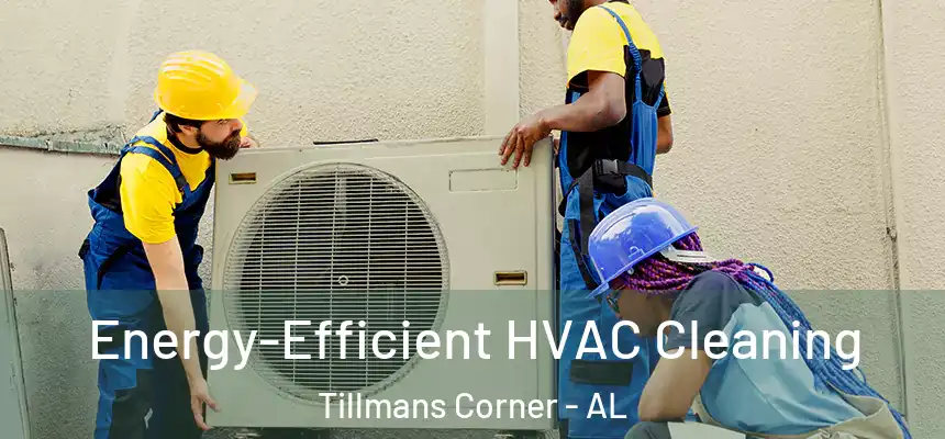  Energy-Efficient HVAC Cleaning Tillmans Corner - AL