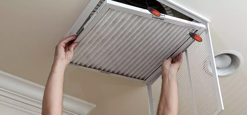 Preventive Cockroach-Proofing for Ducts in Tillmans Corner
