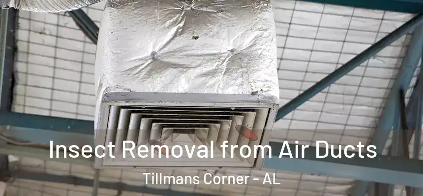  Insect Removal from Air Ducts Tillmans Corner - AL