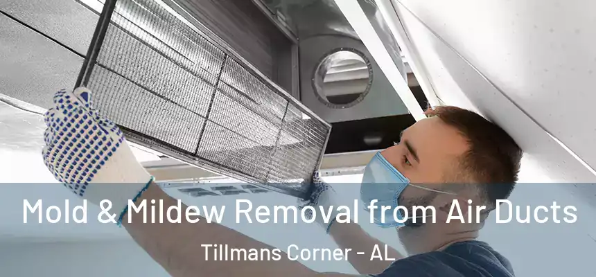  Mold & Mildew Removal from Air Ducts Tillmans Corner - AL