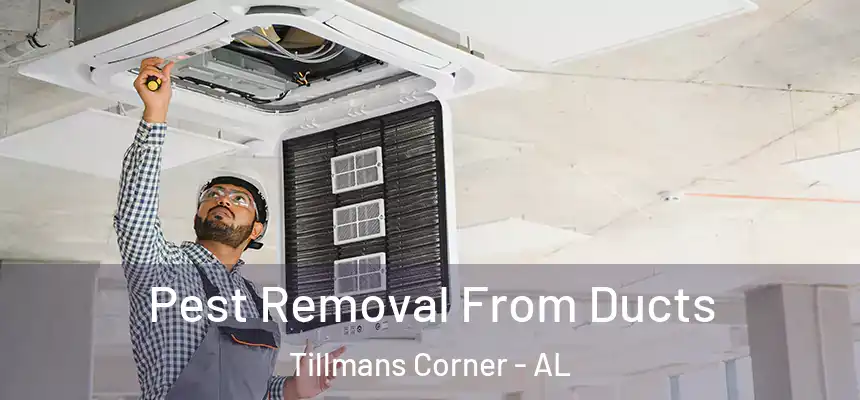  Pest Removal From Ducts Tillmans Corner - AL