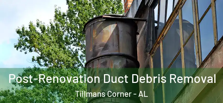  Post-Renovation Duct Debris Removal Tillmans Corner - AL