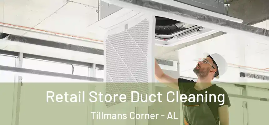  Retail Store Duct Cleaning Tillmans Corner - AL