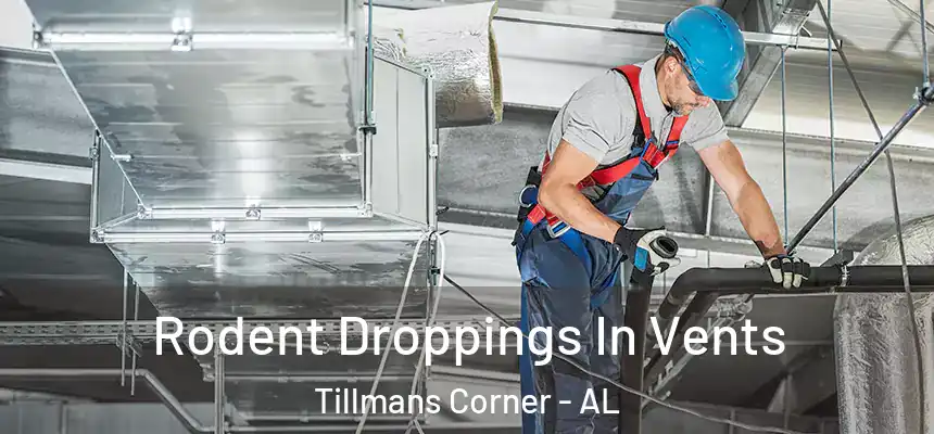  Rodent Droppings In Vents Tillmans Corner - AL