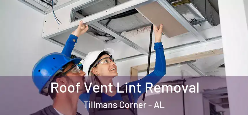  Roof Vent Lint Removal Tillmans Corner - AL