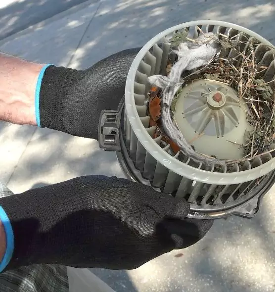 About Air Duct Mice Removal in Tillmans Corner, AL