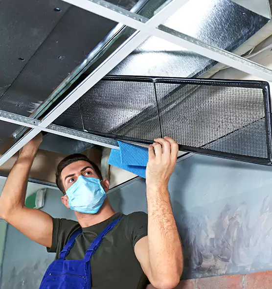 Professional Air Duct Pollen Cleaning in Tillmans Corner, AL