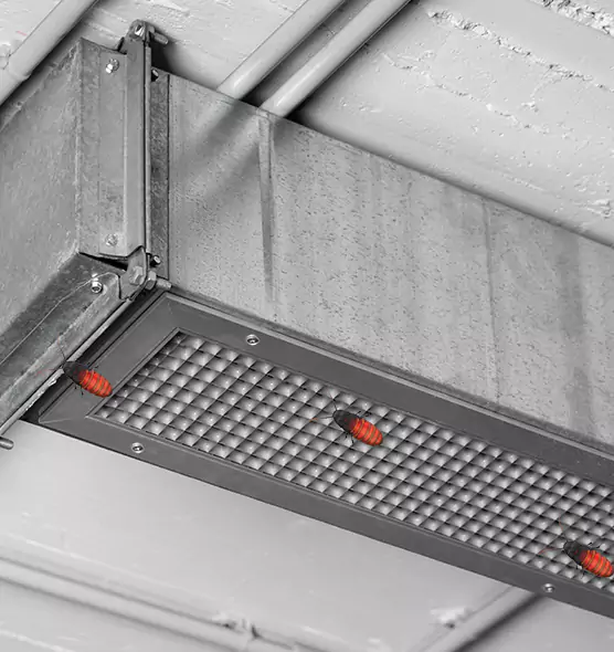 Affordable Insect Removal from Air Ducts in Tillmans Corner, AL