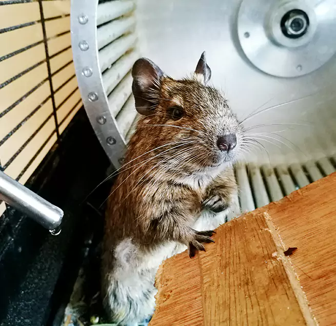 Why Homeowners & Businesses Trust Us Tillmans Corner, AL?