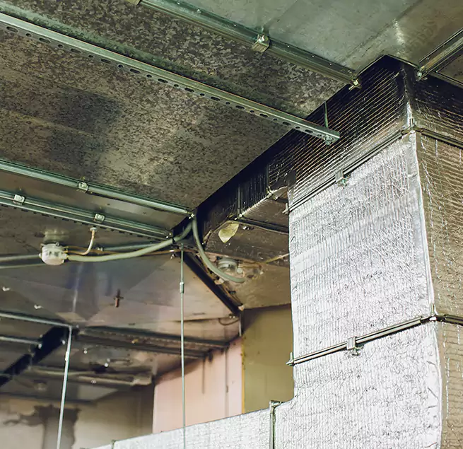 Why Homeowners & Businesses Trust Us in Tillmans Corner, AL?