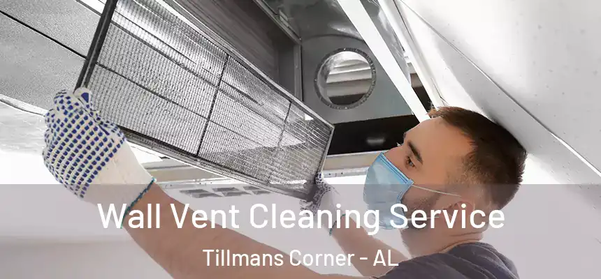  Wall Vent Cleaning Service Tillmans Corner - AL