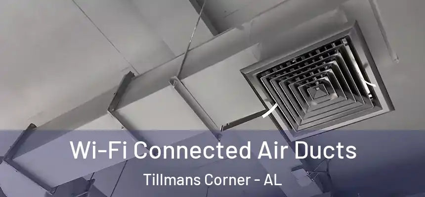  Wi-Fi Connected Air Ducts Tillmans Corner - AL